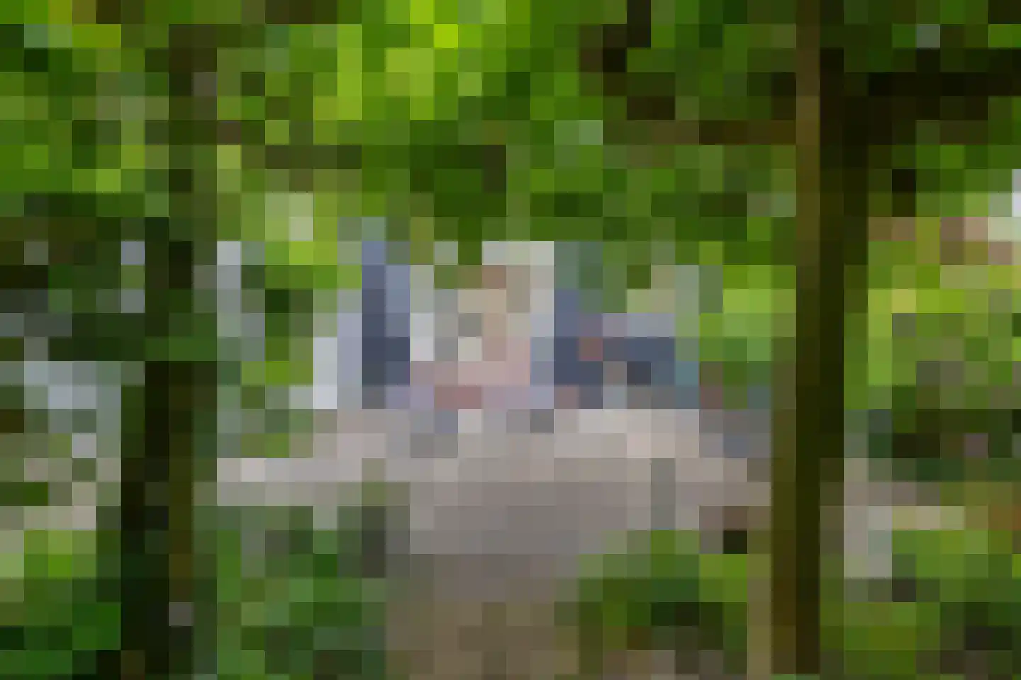 Handelskade 43 Stadskanaal thumbnail 31