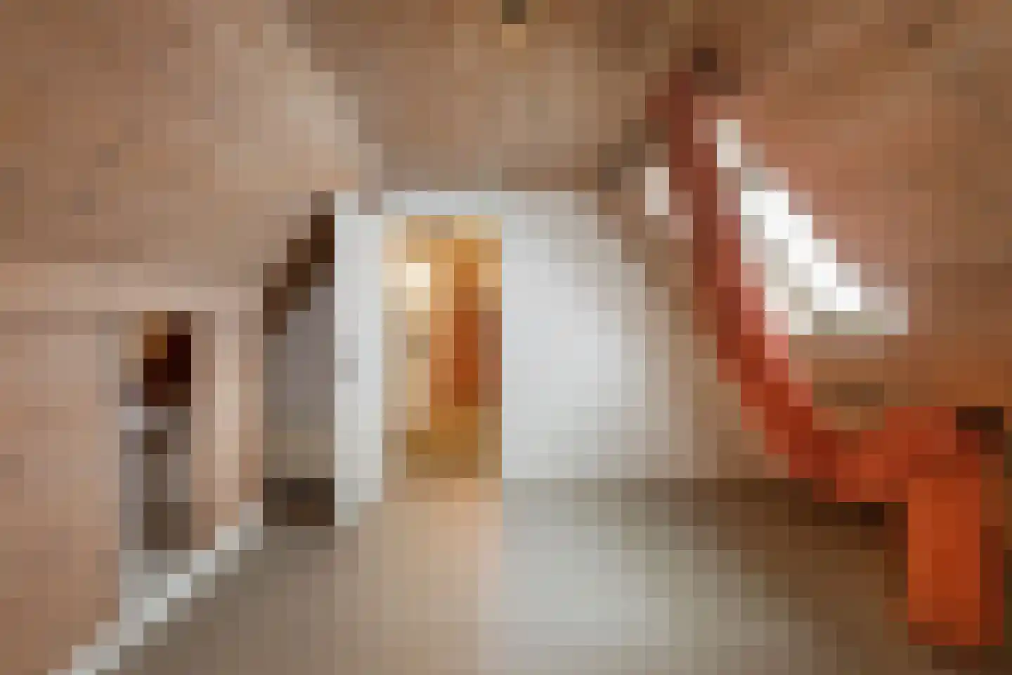 Handelskade 6 's-Hertogenbosch thumbnail 39