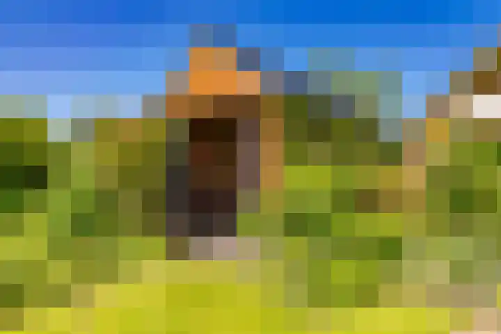 Handelskade 66 Stadskanaal thumbnail 42