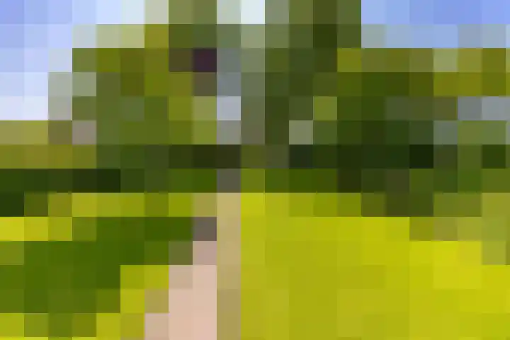 Handelskade 66 Stadskanaal thumbnail 5