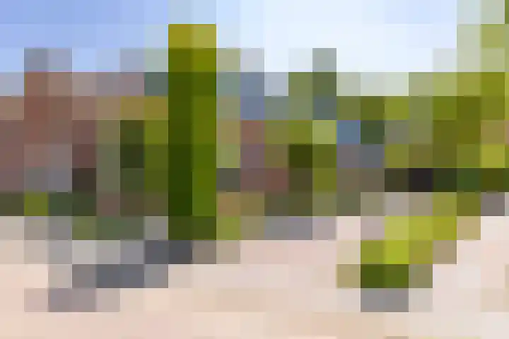 Handelskade 66 Stadskanaal thumbnail 9