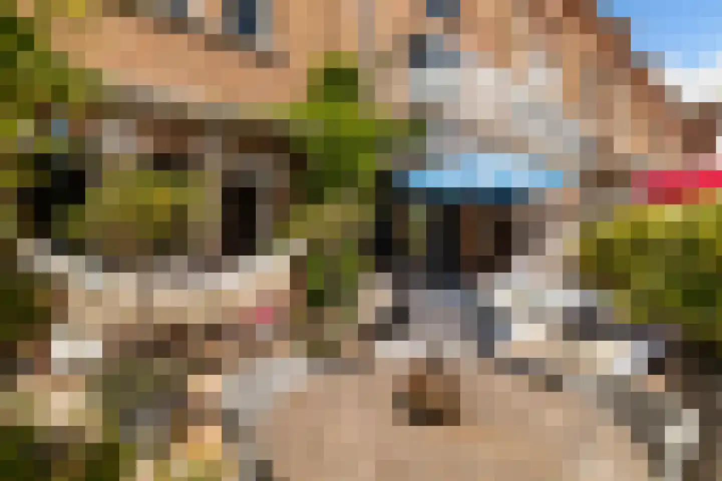 Handelsplein 13 Rotterdam thumbnail 19