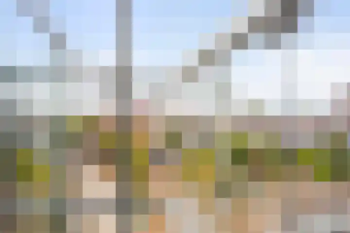 Handelsplein 17 Rotterdam thumbnail 31
