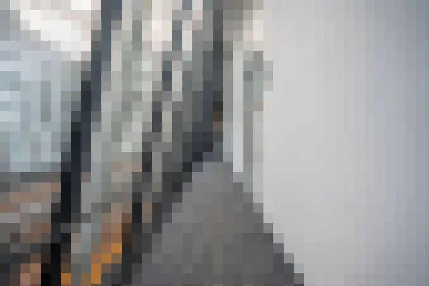 Handelsplein 35 Rotterdam thumbnail 37