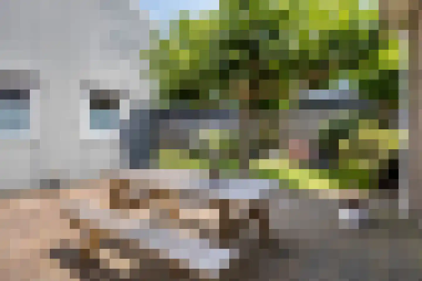 Handelsstraat 3 Geesbrug thumbnail 45