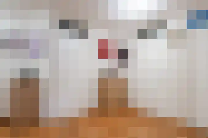 Handelsstraat 41 Schagen thumbnail 9