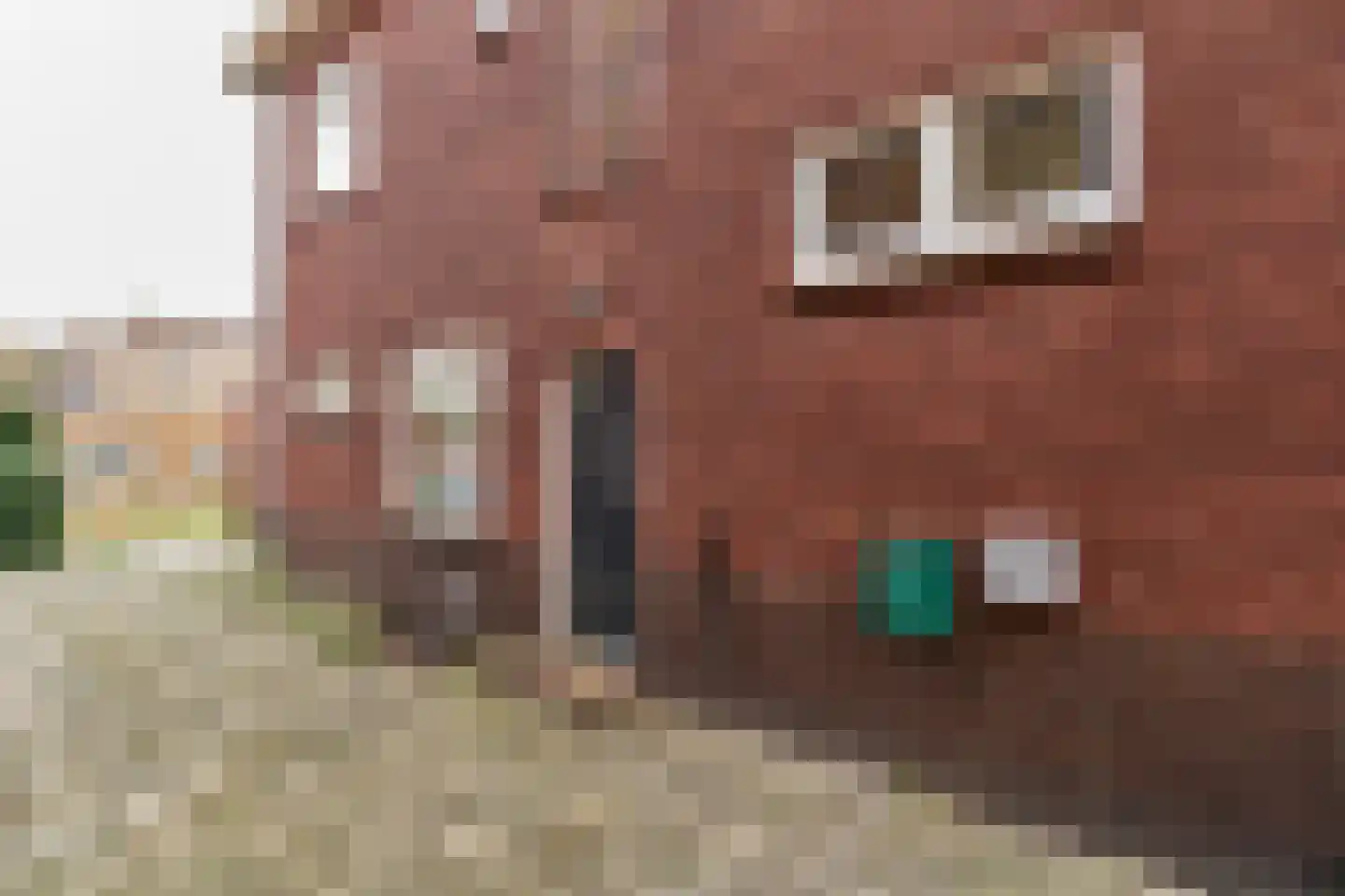 Handelsstraat 42 Stadskanaal thumbnail 8