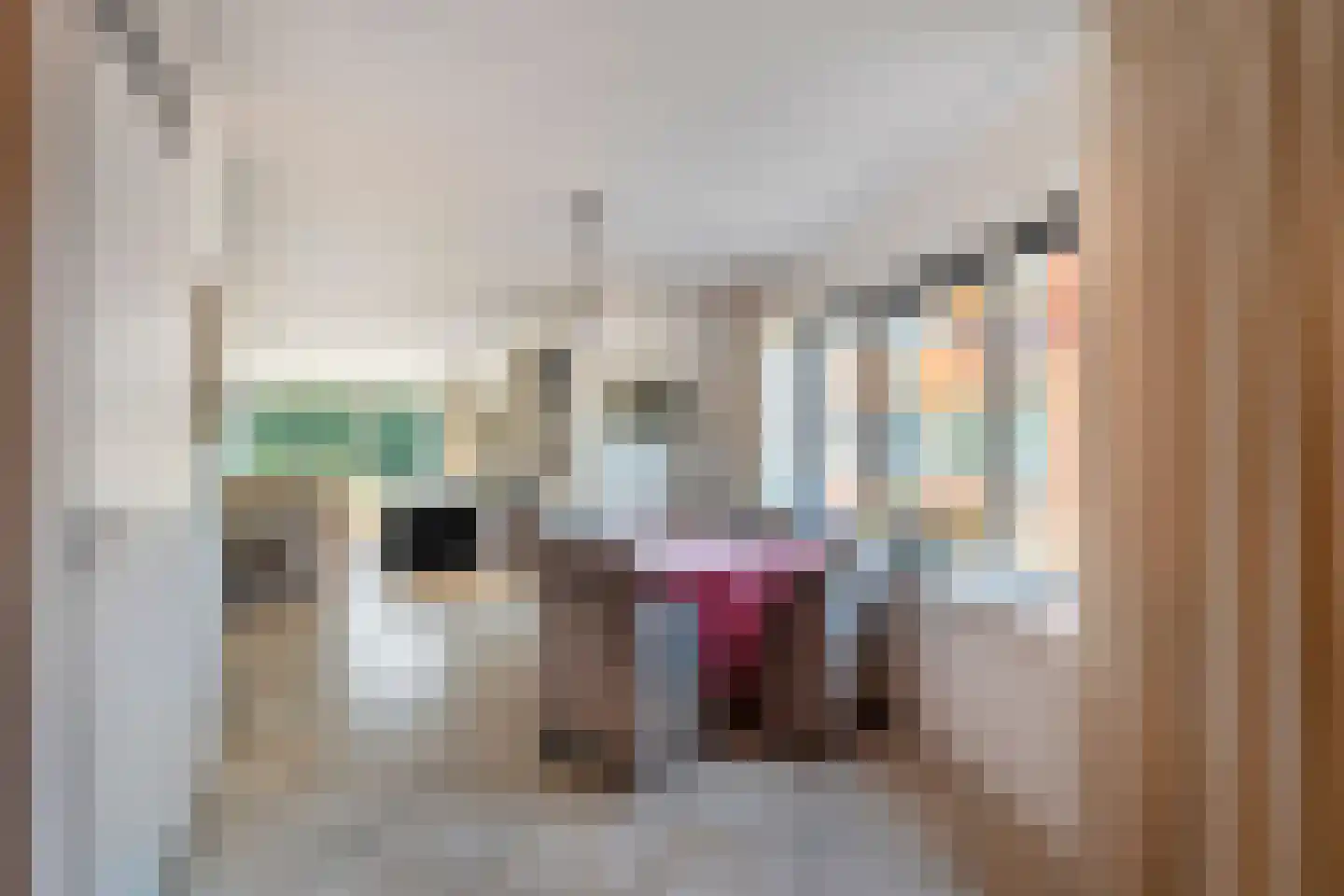 Handelsstraat 45 Schagen thumbnail 18
