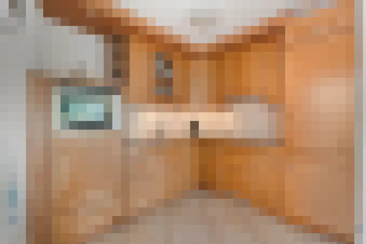 Handelsstraat 45 Schagen thumbnail 4