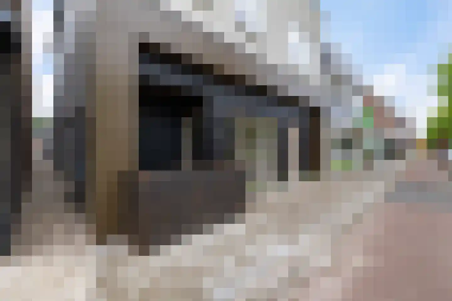 Handelsstraat 56 Stadskanaal thumbnail 5