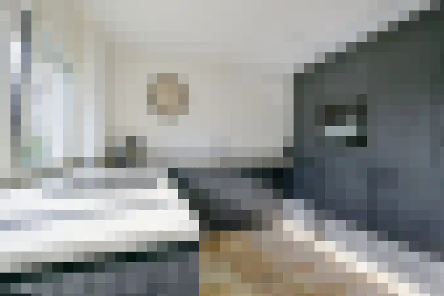 Handelsstraat 71 Schagen thumbnail 16