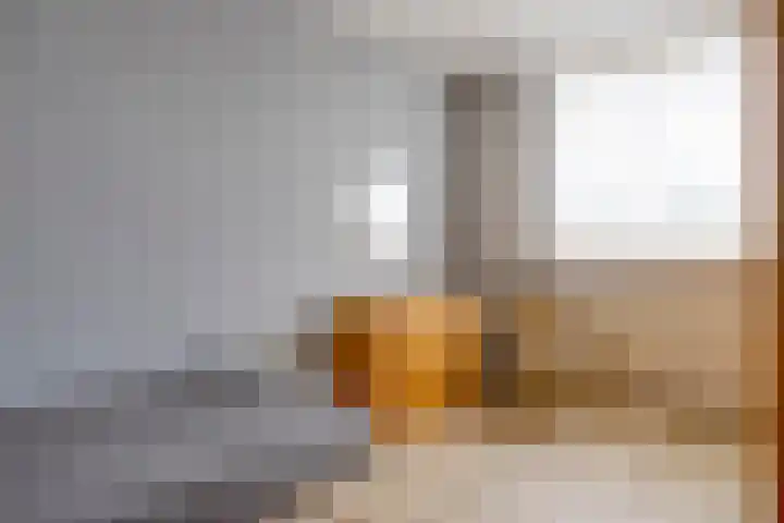 Händelstraat 10 Axel thumbnail 14