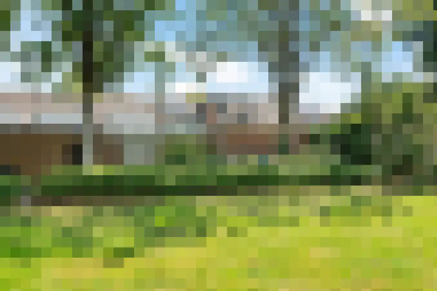 Händelstraat 10 Schijndel thumbnail 40