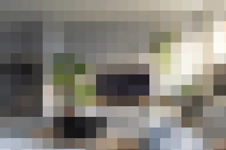 Händelstraat 10 Waalwijk thumbnail 5