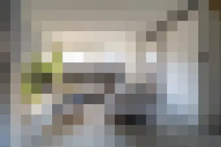 Händelstraat 10 Waalwijk thumbnail 6