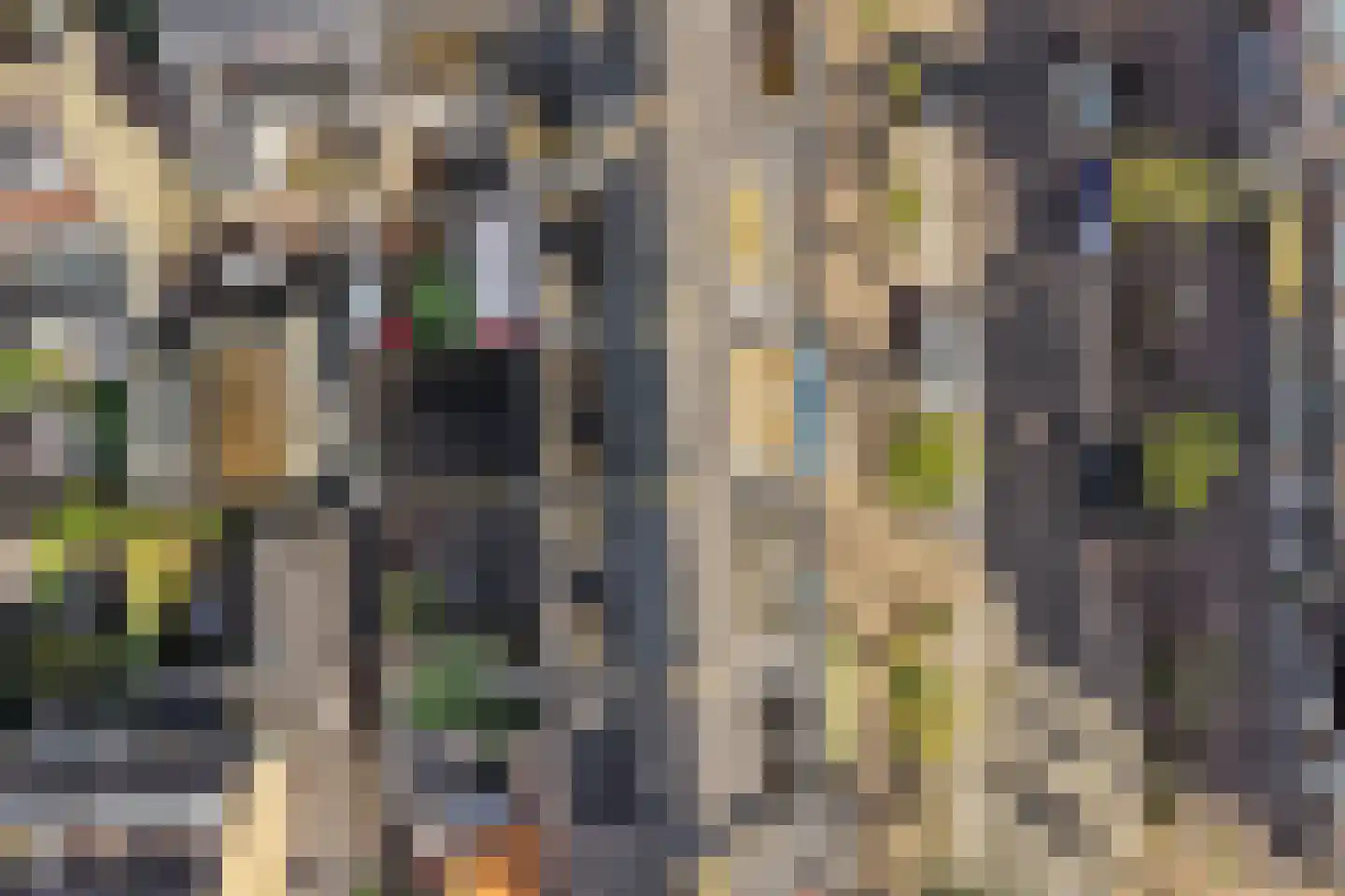 Händelstraat 104 BS Utrecht thumbnail 41