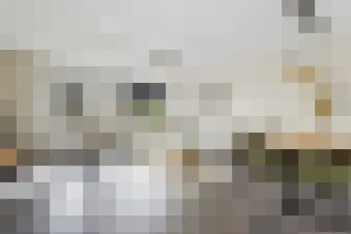 Händelstraat 13 Zwijndrecht thumbnail 7