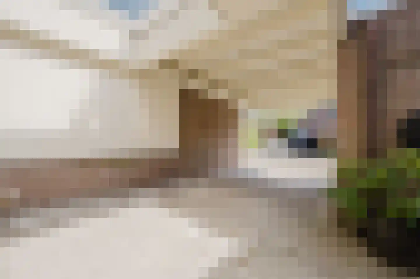 Händelstraat 15 Rhoon thumbnail 10