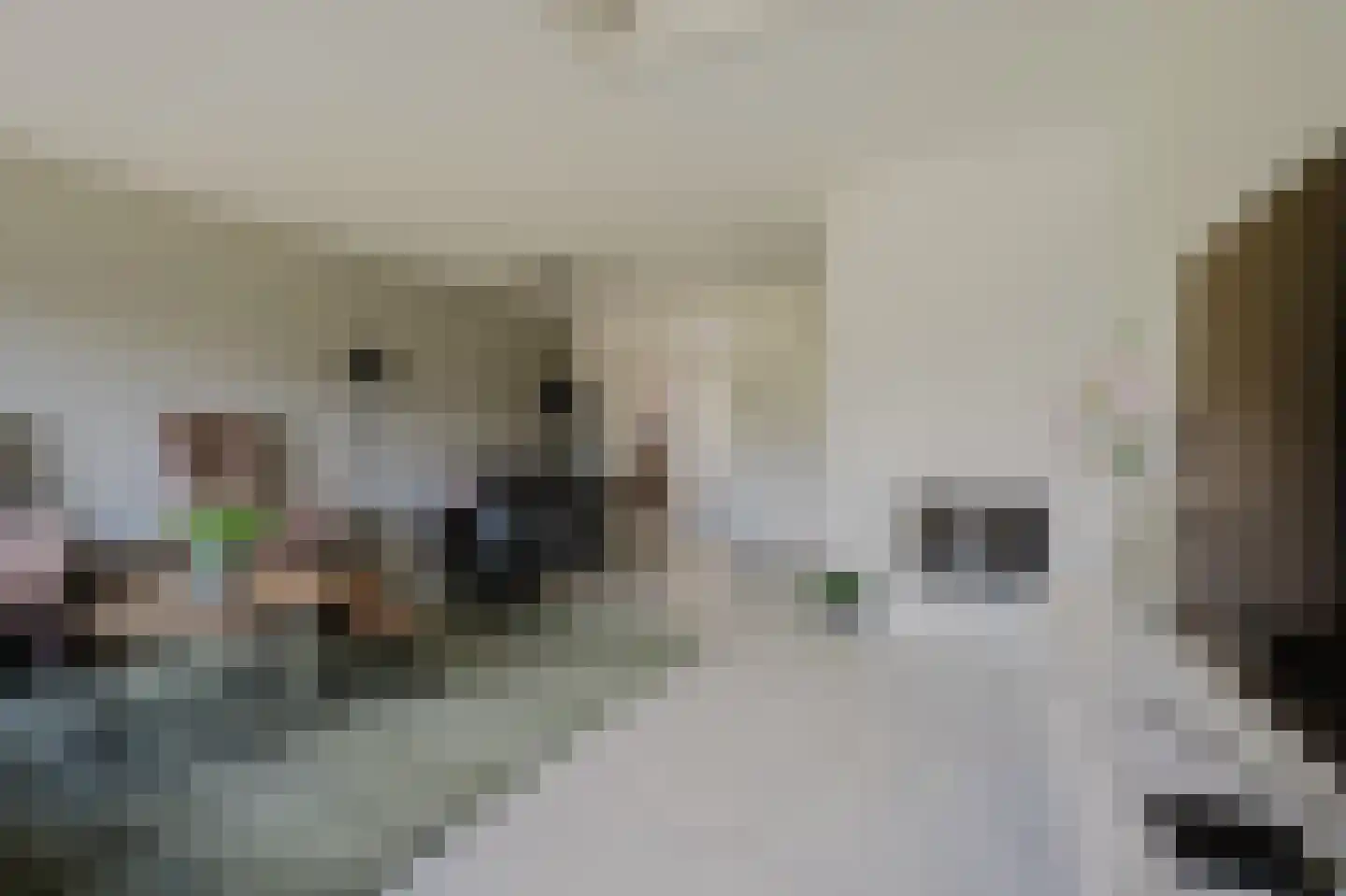 Händelstraat 15 Rhoon thumbnail 15