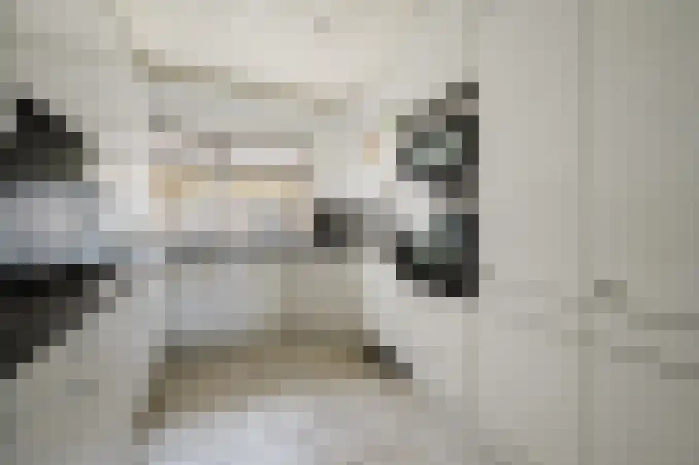 Händelstraat 15 Rhoon thumbnail 17