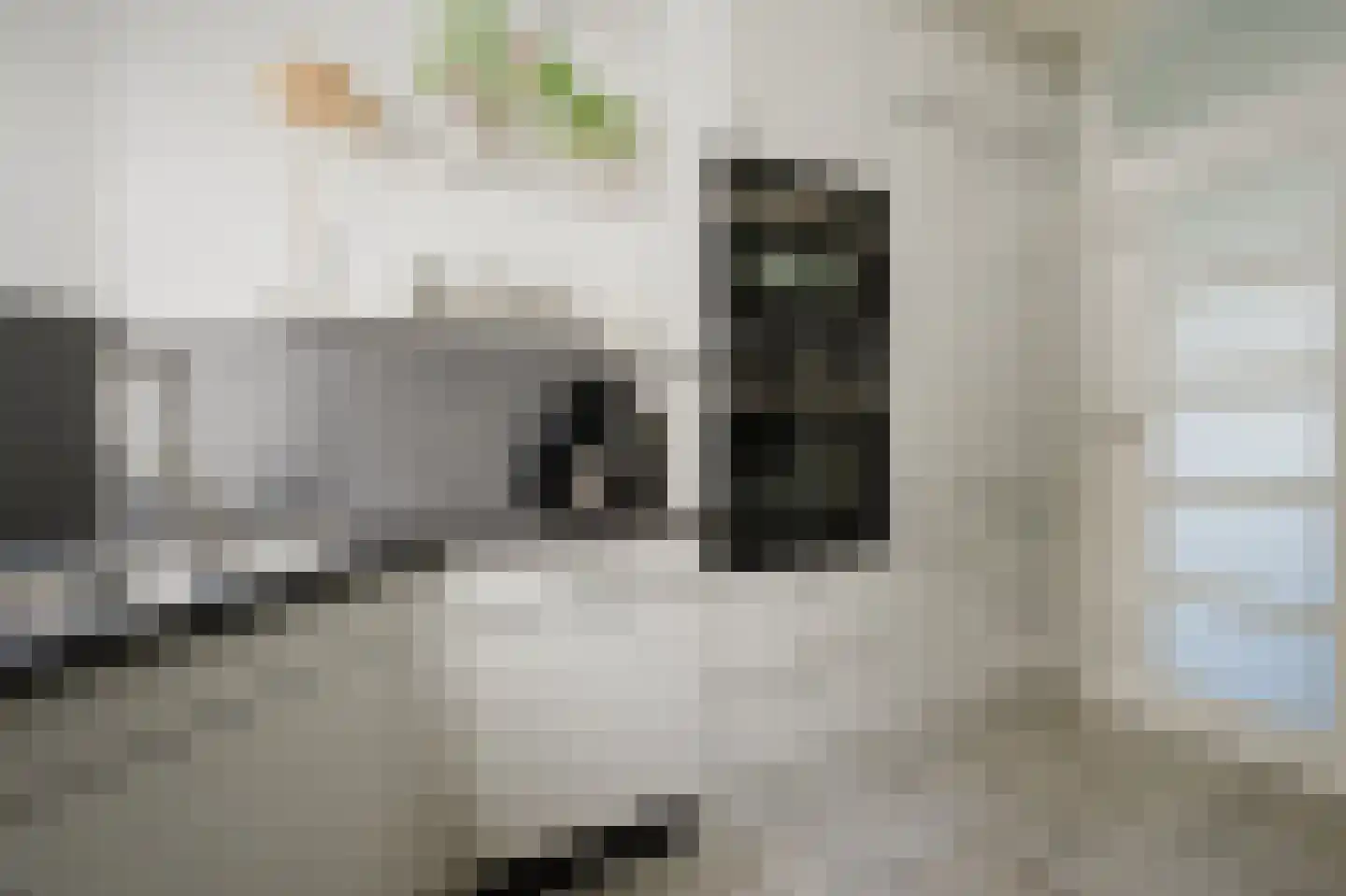 Händelstraat 15 Rhoon thumbnail 18