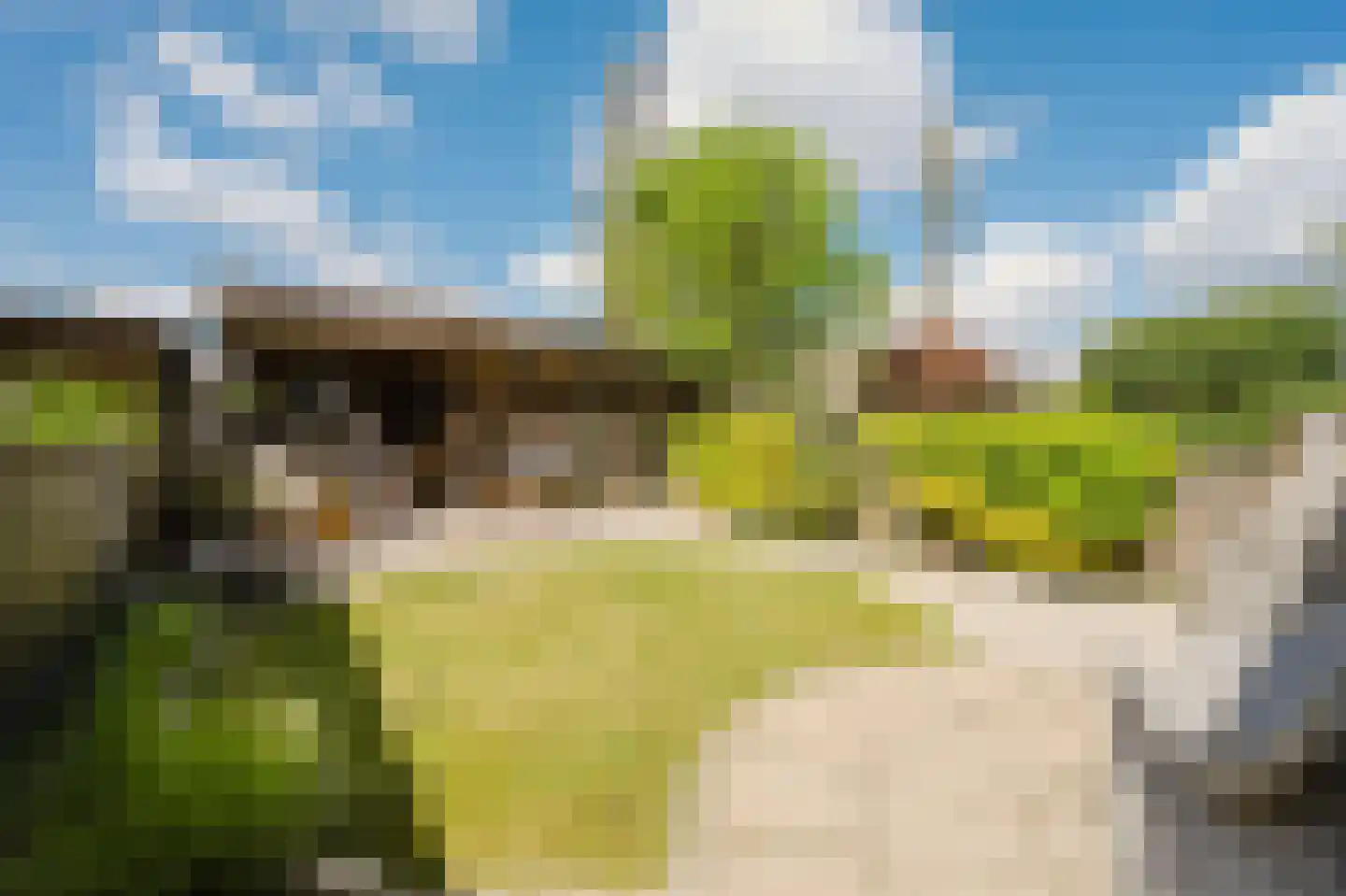 Händelstraat 15 Rhoon thumbnail 20