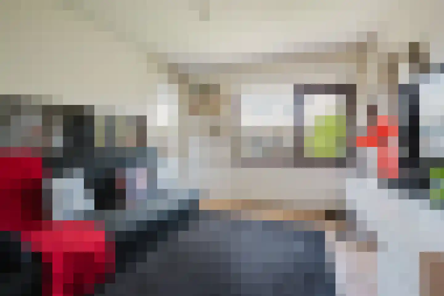 Händelstraat 15 Rhoon thumbnail 32