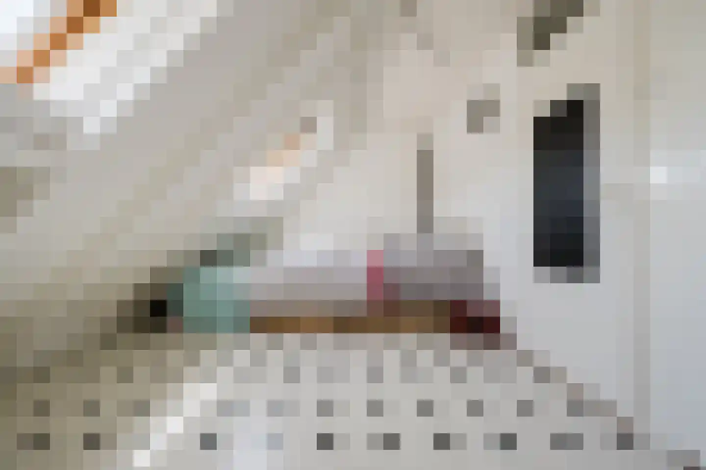 Händelstraat 15 Rhoon thumbnail 35
