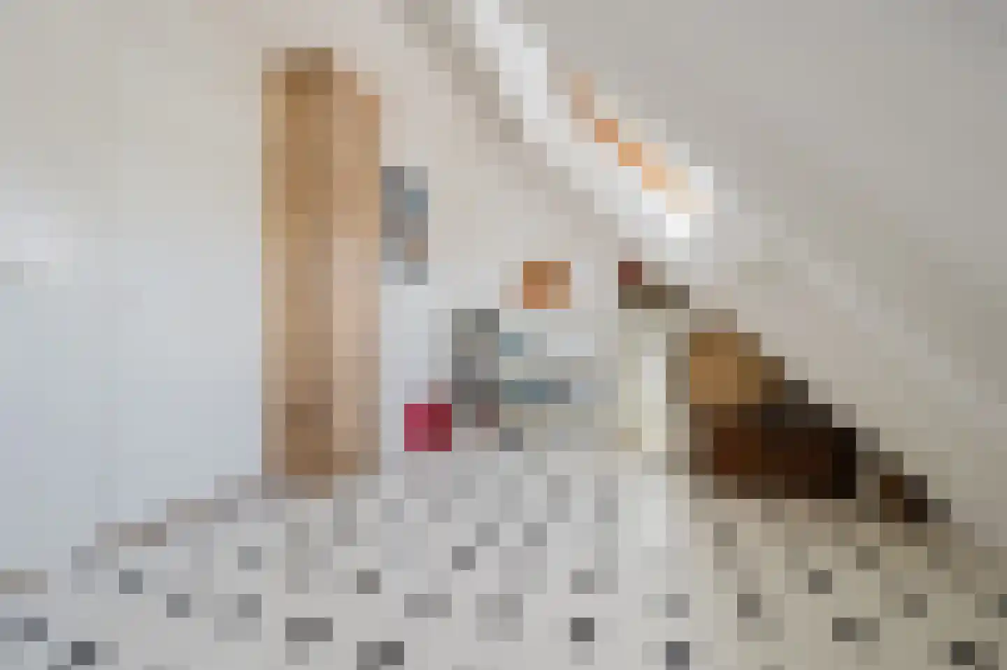 Händelstraat 15 Rhoon thumbnail 36