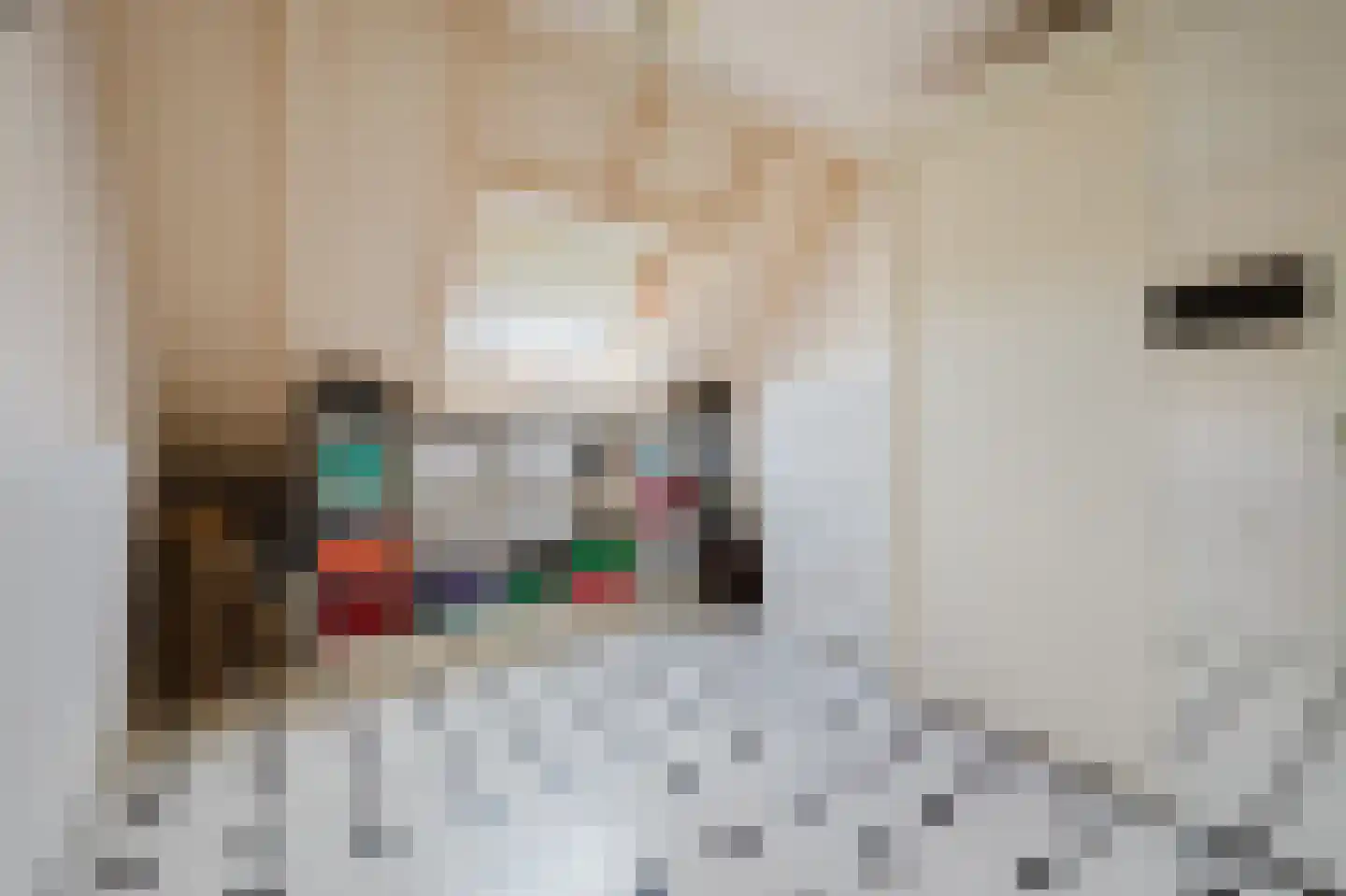 Händelstraat 15 Rhoon thumbnail 38