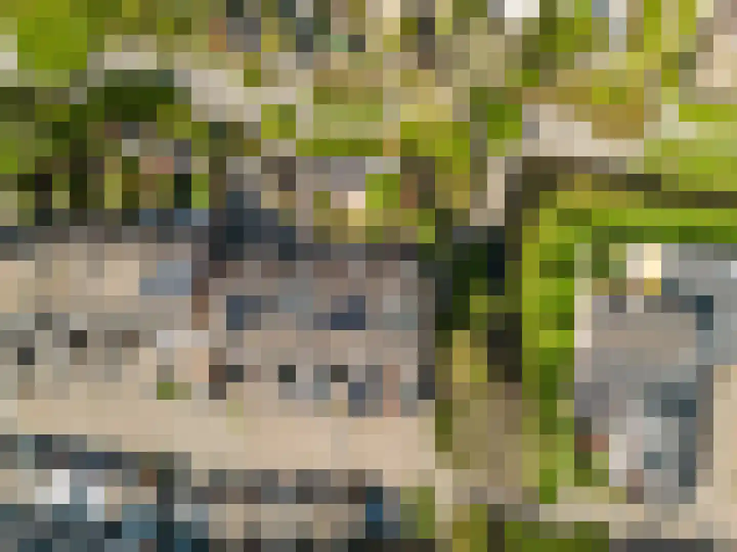 Händelstraat 15 Rhoon thumbnail 5