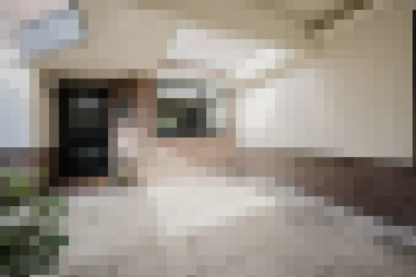 Händelstraat 15 Rhoon thumbnail 9