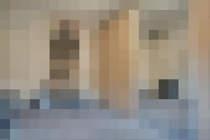 Händelstraat 16 Zwijndrecht thumbnail 19