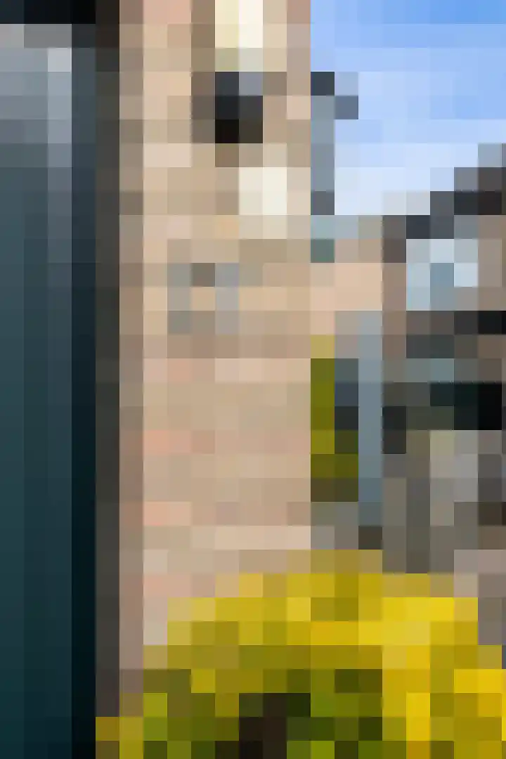 Händelstraat 17 Eerbeek thumbnail 31
