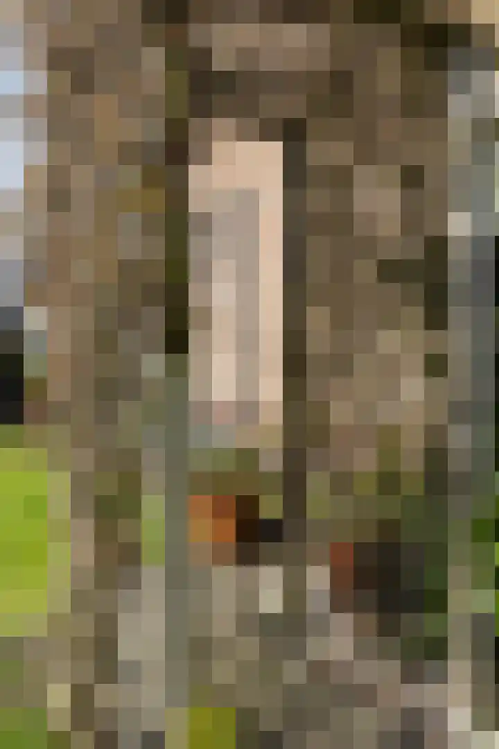 Händelstraat 17 Eerbeek thumbnail 33
