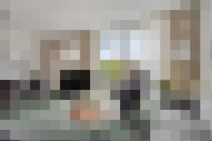 Händelstraat 18 Axel thumbnail 5