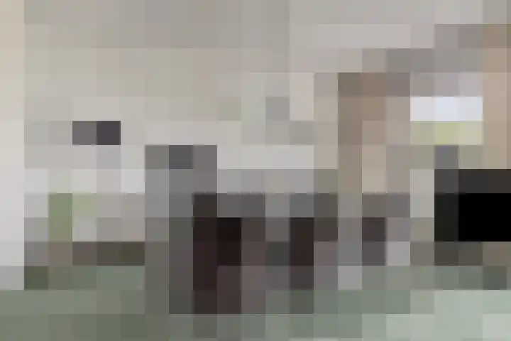 Händelstraat 18 Axel thumbnail 6