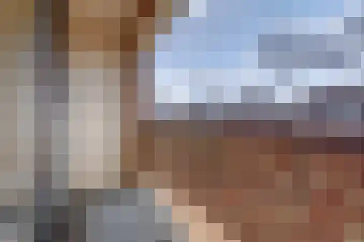 Händelstraat 18 Millingen aan de Rijn thumbnail 23