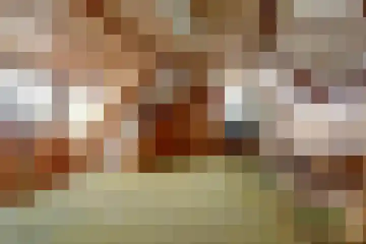 Händelstraat 18 Millingen aan de Rijn thumbnail 29