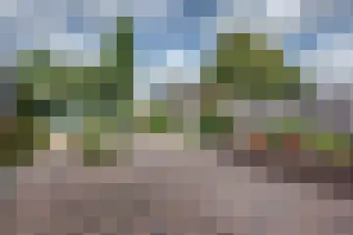 Händelstraat 18 Millingen aan de Rijn thumbnail 34
