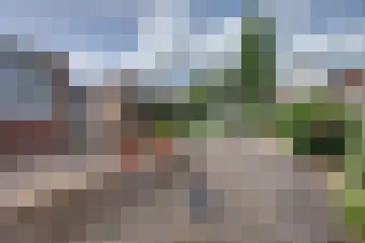 Händelstraat 18 Millingen aan de Rijn thumbnail 35