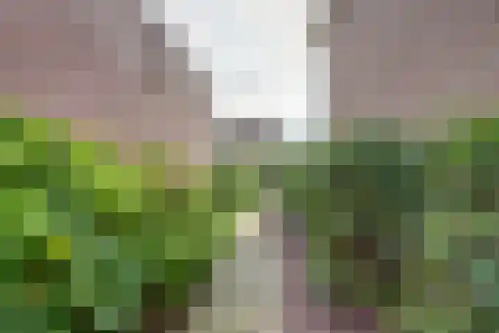 Händelstraat 18 Millingen aan de Rijn thumbnail 37