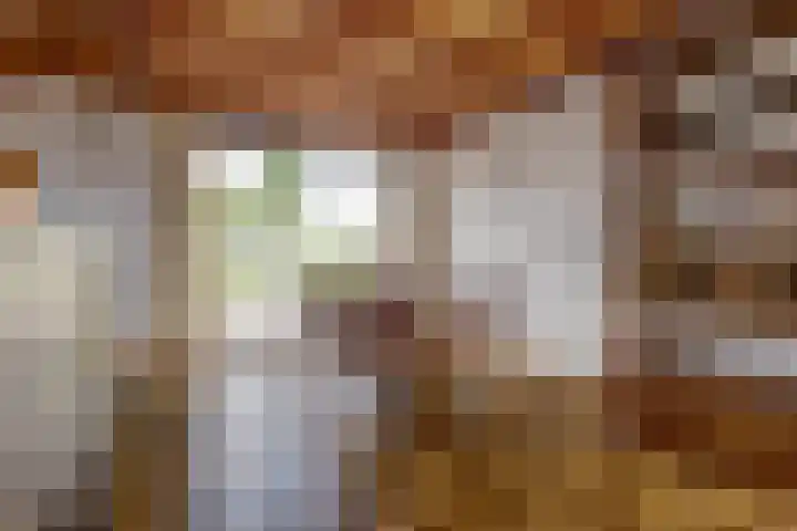 Händelstraat 18 Millingen aan de Rijn thumbnail 9