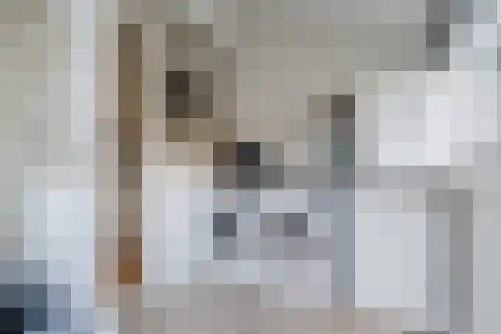 Händelstraat 19 Akersloot thumbnail 19