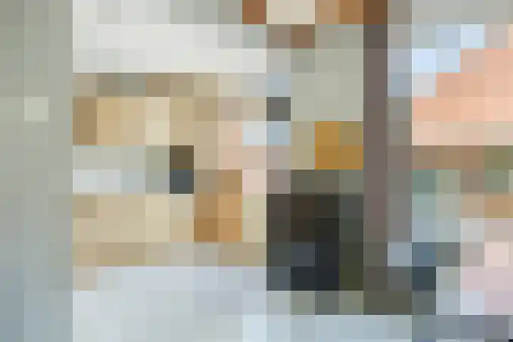 Händelstraat 2 Halsteren thumbnail 12