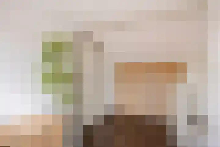 Händelstraat 2 Halsteren thumbnail 22
