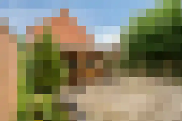 Händelstraat 2 Halsteren thumbnail 26
