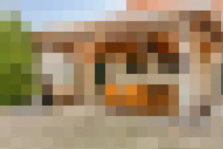 Händelstraat 2 Halsteren thumbnail 27