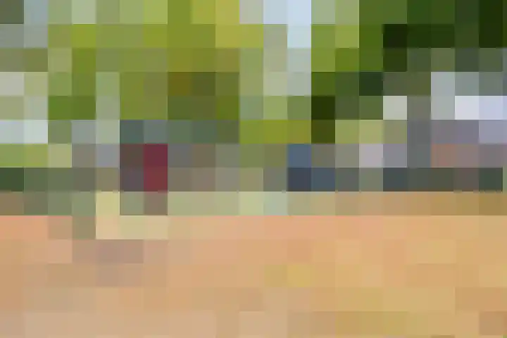 Händelstraat 2 Halsteren thumbnail 33