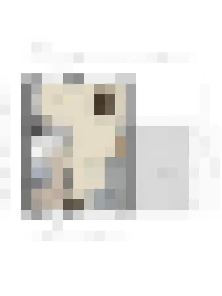 Händelstraat 2 Halsteren thumbnail 34